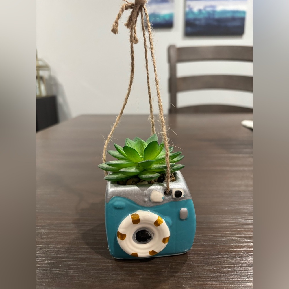 Blue Retro Camera with Fake Succulent Hanging Decor